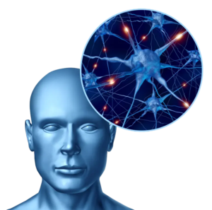 Human CGI image with synapses photo on side